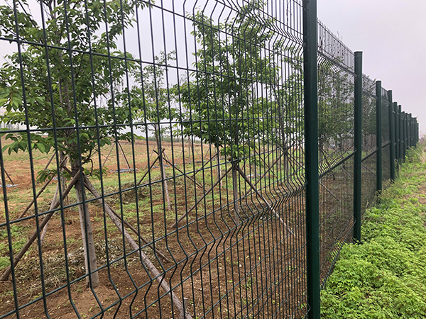 景區隔離網圖片2