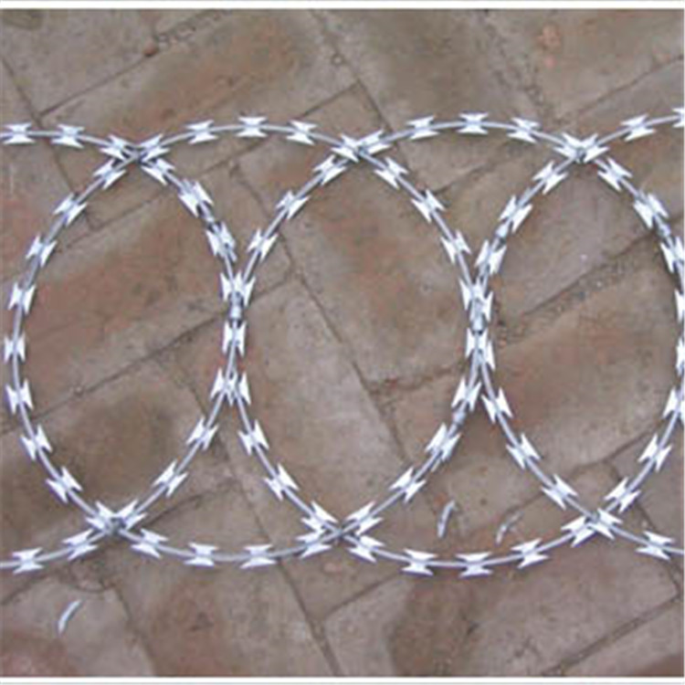 監(jiān)獄鋼網(wǎng)墻刀片刺繩案例展示圖片3 監(jiān)獄鋼網(wǎng)墻刀片刺繩案例展示圖片3