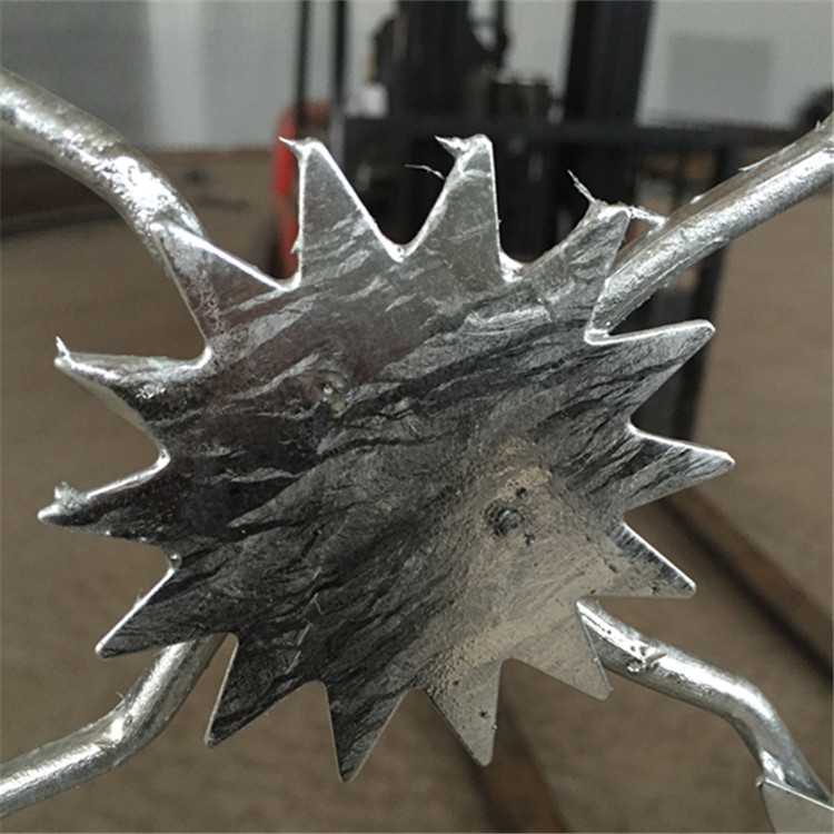 監獄鋼網墻--梅花刺隔離網案例展示圖片2 監獄鋼網墻--梅花刺隔離網案例展示圖片2