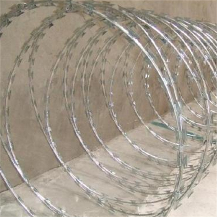 刀刺網BTO-22案例展示圖片2 刀刺網BTO-22案例展示圖片2