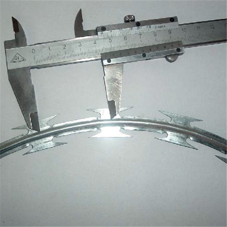 刀片刺網案例展示圖片4 刀片刺網案例展示圖片4