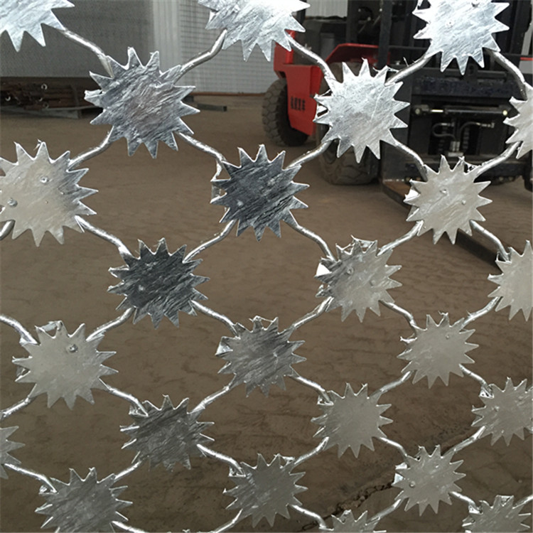 梅花刺隔離網案例展示圖片2 梅花刺隔離網案例展示圖片2