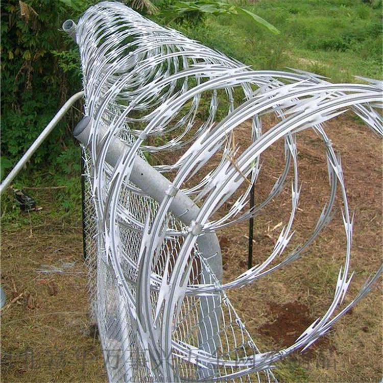 刀刺網案例展示圖片4 刀刺網案例展示圖片4