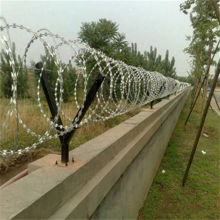 刀片刺網案例展示圖片3 刀片刺網案例展示圖片3