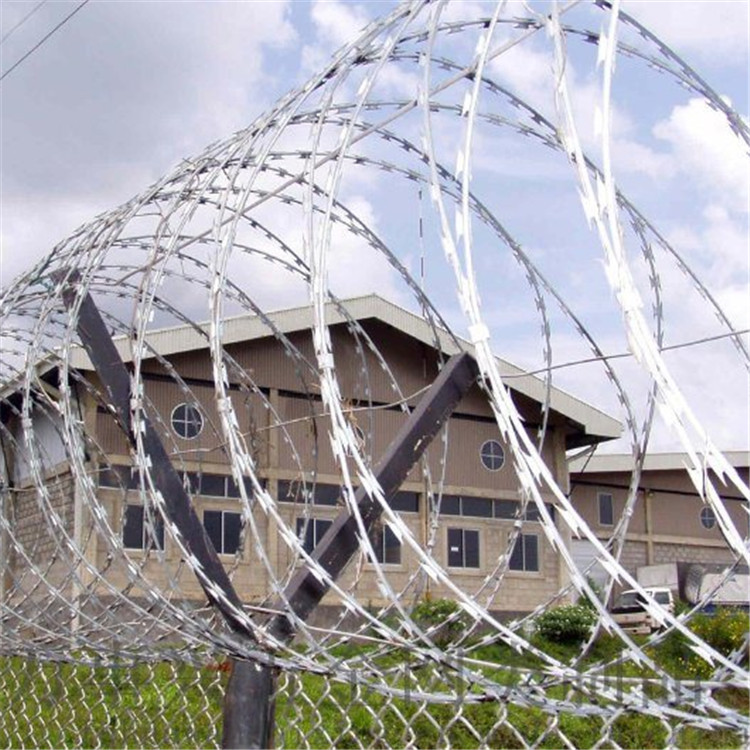 刀刺網案例展示圖片3 刀刺網案例展示圖片3