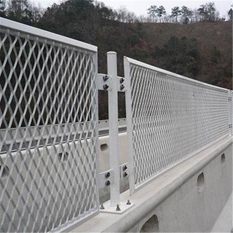 防眩網案例展示圖片4 防眩網案例展示圖片4